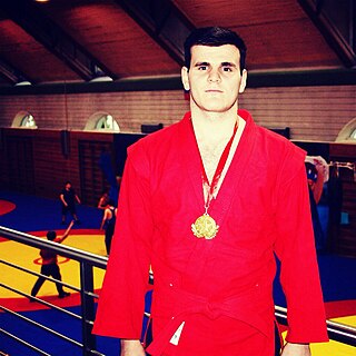 <span class="mw-page-title-main">Khadis Ibragimov</span> Russian mixed martial arts fighter