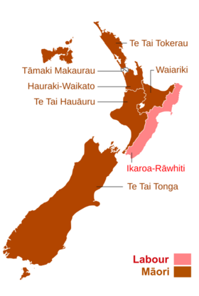 Map of New Zealand with electorates superimposed, distinguishing between the six TPM seats and one Labour seat.