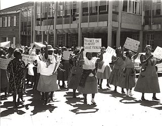 <span class="mw-page-title-main">Feminism in South Africa</span>