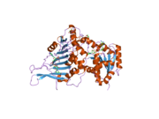 2bh9: X-RAY STRUCTURE OF A DELETION VARIANT OF HUMAN GLUCOSE 6-PHOSPHATE DEHYDROGENASE COMPLEXED WITH STRUCTURAL AND COENZYME NADP