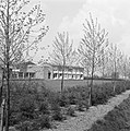 Van Heutszpark in 1960