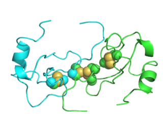 <span class="mw-page-title-main">Macrophage inflammatory protein</span> Protein family