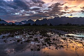 Colorful sky with pink clouds reflecting in the water of a paddy field and mountains at dusk Vang Vieng Laos