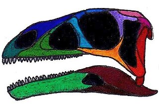 <i>Efraasia</i> Extinct genus of dinosaurs