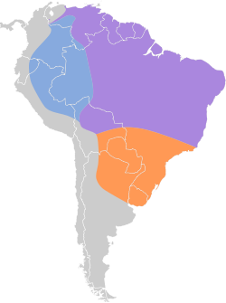 Distribución geográfica del tuquito rayado.