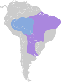 Distribución geográfica de la viudita dorsinegra.