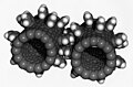 Image 17Computer simulation of nanogears made of fullerene molecules. It is hoped that advances in nanoscience will lead to machines working on the molecular scale. (from Condensed matter physics)