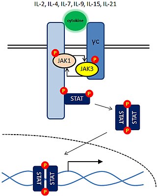 <span class="mw-page-title-main">Janus kinase 3 inhibitor</span>