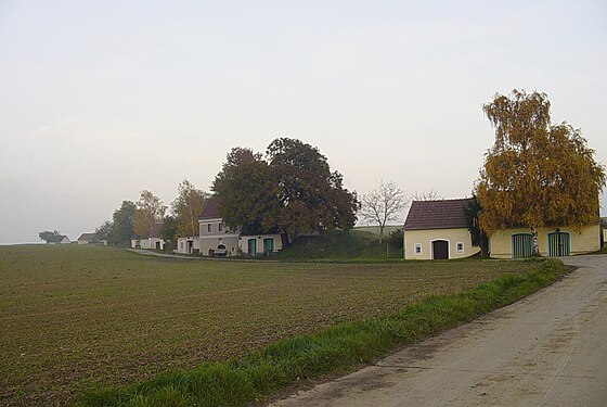 Zagging in Obritzberg-Rust