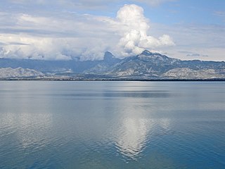 <span class="mw-page-title-main">Lake Skadar</span> Lake in Albania and Montenegro