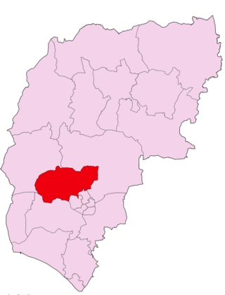 <span class="mw-page-title-main">Lavant (ward)</span> Human settlement in England