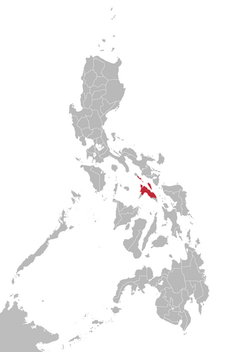 <span class="mw-page-title-main">Masbateño language</span> Bisayan language spoken in the Philippines