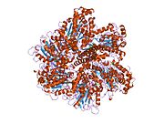 1nbm: THE STRUCTURE OF BOVINE F1-ATPASE COVALENTLY INHIBITED WITH 4-CHLORO-7-NITROBENZOFURAZAN
