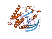 PDB 2oc3 EBI.png