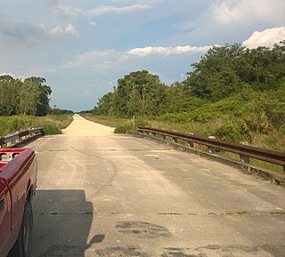 <span class="mw-page-title-main">Picayune Strand State Forest</span>