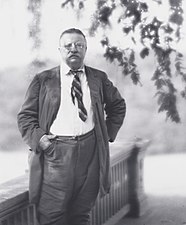 Theodore Roosevelt.