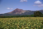 Miniatura para Telica (volcán)