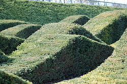 Thames Barrier Park (Mar 2007) Thames Barrier Park.JPG