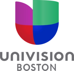 <span class="mw-page-title-main">WUNI</span> Univision TV station in Marlborough, Massachusetts