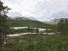 Ånderdalen nasjonalpark 3.jpg