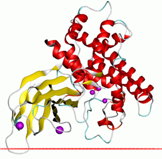 <span class="mw-page-title-main">Zinc-dependent phospholipase C</span>