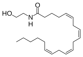 <span class="mw-page-title-main">Anandamide</span> Chemical compound (fatty acid neurotransmitter)