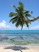 Anse Takamaka, Mahé