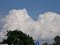 Grote cumulus congestus-wolk