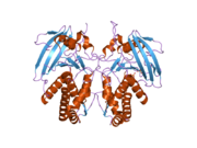 PDB 2g59 EBI.png