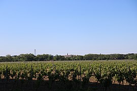 Vue générale de Nézignan-l'Évêque depuis Saint-Thibéry.