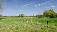 Naturpark Schwalm-Nette - Landschaft mit Wiese