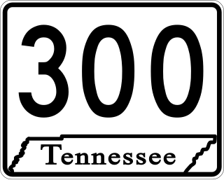 <span class="mw-page-title-main">Tennessee State Route 300</span> State highway in Tennessee, United States