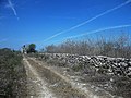 Xitibcanul, Yucatán.