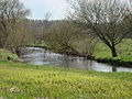 Örtzewiesen bei Oldendorf