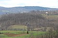 Bogatić - Panorama