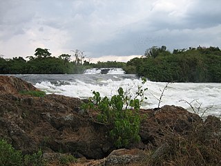 <span class="mw-page-title-main">Bujagali Hydroelectric Power Station</span> Power station in Uganda