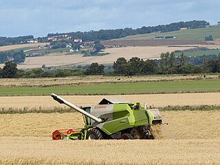 <span class="mw-page-title-main">Agriculture in the United Kingdom</span> Economic sector in the United Kingdom