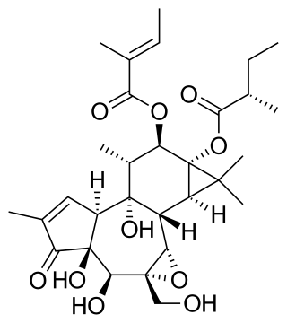 <span class="mw-page-title-main">Tigilanol tiglate</span> Chemical compound