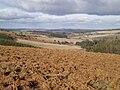 Paysage d'automne à Gentioux (octobre 2010)