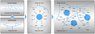 <span class="mw-page-title-main">Glass ionomer cement</span> Material used in dentistry as a filling material and luting cement