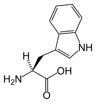 <span class="mw-page-title-main">Hartnup disease</span> Metabolic disorder