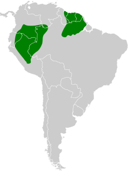 Distribución geográfica del cimerillo bilistado.