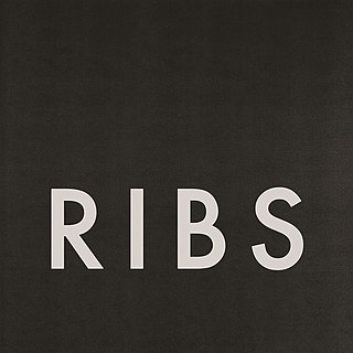 <span class="mw-page-title-main">Ribs (song)</span> 2013 promotional single by Lorde