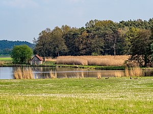 Weihergebiet Mohrhof