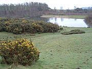 Oulston Reservoir near source of River Foss 54°09′48″N 1°08′10″W﻿ / ﻿54.163205°N 1.136180°W﻿ / 54.163205; -1.136180