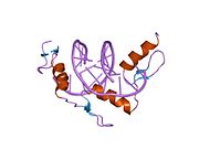 PDB 1jk1 EBI.jpg