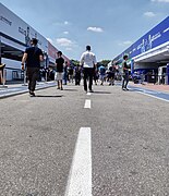 Paddock area, 2023.