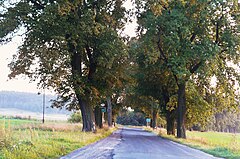 Odcinek drogi w Brudzewie, wyłączony z jej przebiegu po oddaniu tzw. Małej Obwodnicy Regionu Kozła