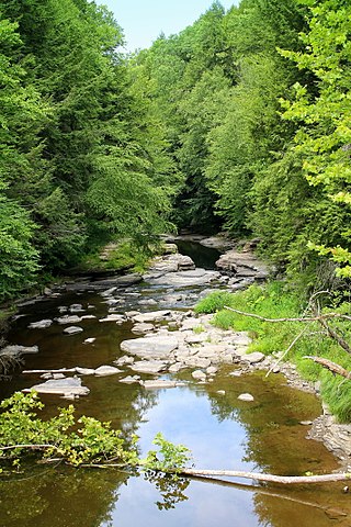 <span class="mw-page-title-main">South Branch Tunkhannock Creek</span> River