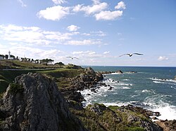 Pantai Tanehashi